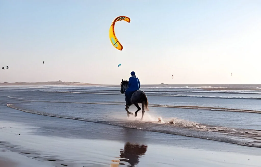 Cheval-arabe-brun-courant-avec-un-cavalier-dans-l-ocean-Atlantique-Kitesurfers-sur-la-plage-d-Essaouira-Essaouira-Maroc taghazout