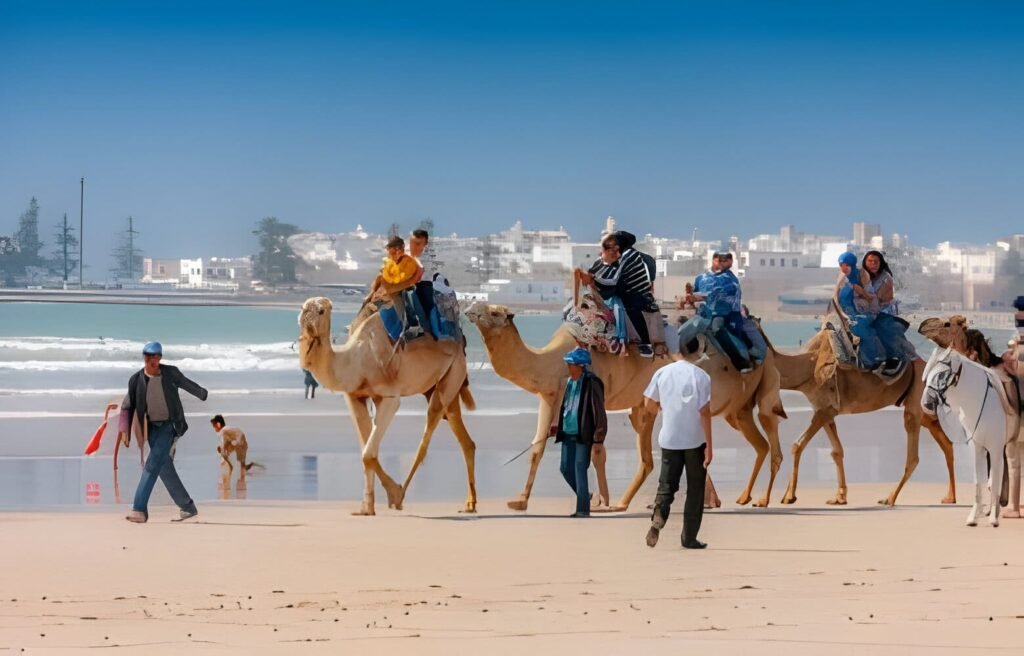 essaouira mogador marocmaker morocco (2)