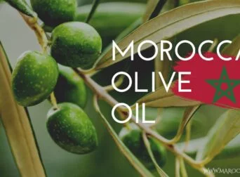 MOROCCAN olive oil article maroc maker