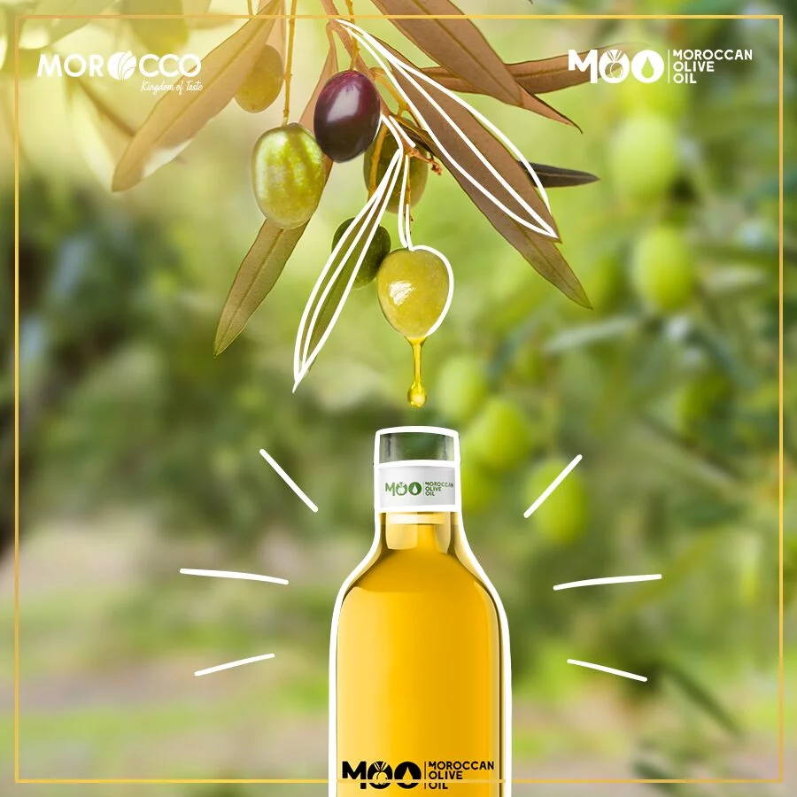 moroccan olive oil product in morocco (1)