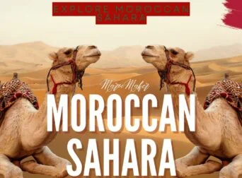 moroccan sahara article with maroc maker