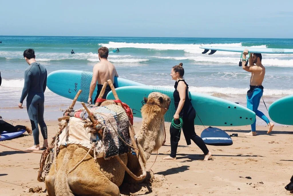 surf spots in morocco with maroc maker