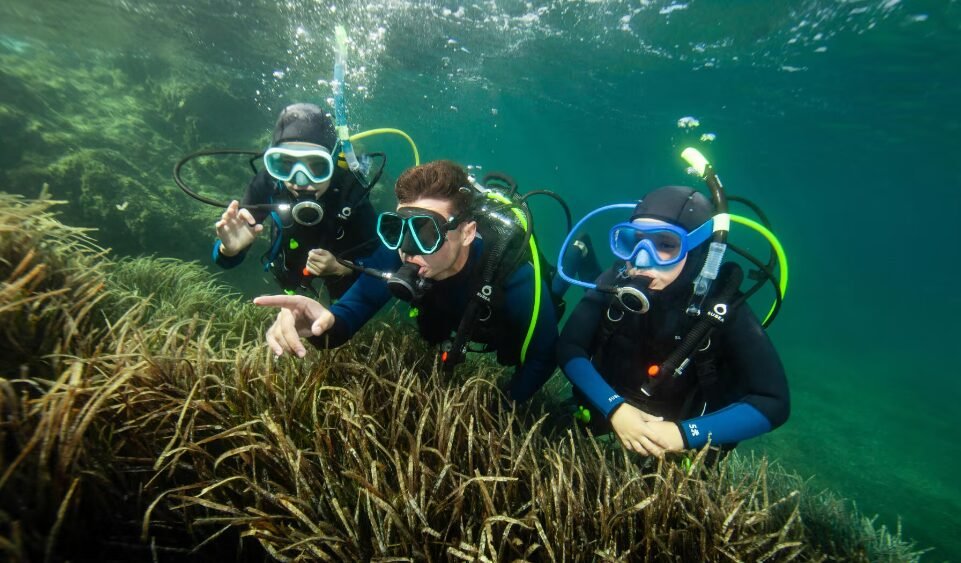 dive in the sea of al hoceima